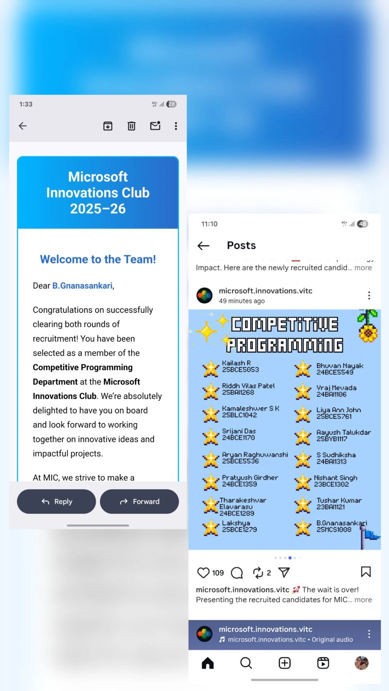 Microsoft Competitive Programming Team Member